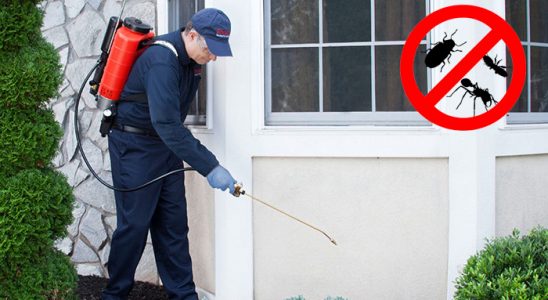 Kozluk Bit İlaçlama böcek ilaçlama ve haşere kontrolü — ilaclama-tr.com
